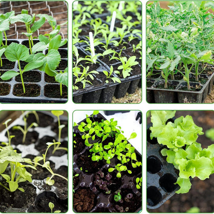 120 cell seedling starter tablets reusable, mini propagator, greenhouse growing kit, plant growing trays for indoor greenhouse plastic germination trays nurseries, growing.