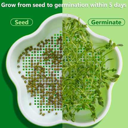 Petluno 4 pieces seedling pots with lids, 16 cm seedling pot BPA-free healthy hydroponic growing pot soil-free sprouting container for growing mung beans, alfalfa, wheatgrass.