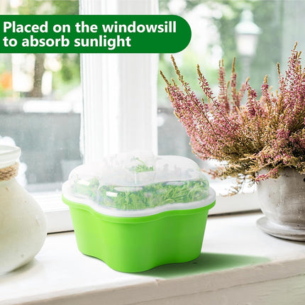 Petluno 4 pieces seedling pots with lids, 16 cm seedling pot BPA-free healthy hydroponic growing pot soil-free sprouting container for growing mung beans, alfalfa, wheatgrass.