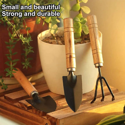 Garden tool set, 3-piece garden tool set, garden trowel, small, wooden handle, hand trowels, small garden set for bonsai, tool, plant pot, flowers.
