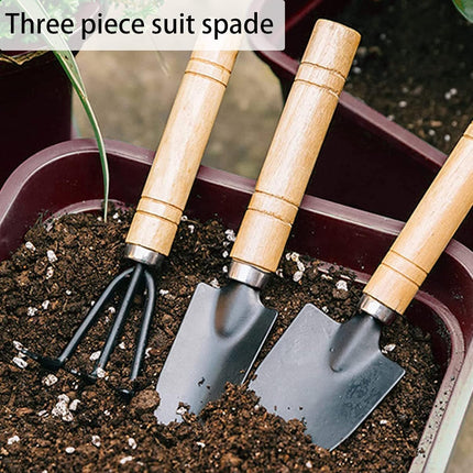Garden tool set, 3-piece garden tool set, garden trowel, small, wooden handle, hand trowels, small garden set for bonsai, tool, plant pot, flowers.