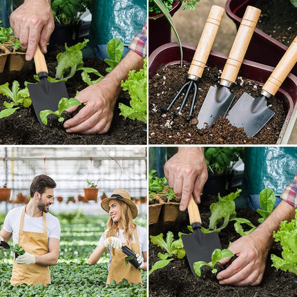 Garden tool set, 3-piece garden tool set, garden trowel, small, wooden handle, hand trowels, small garden set for bonsai, tool, plant pot, flowers.