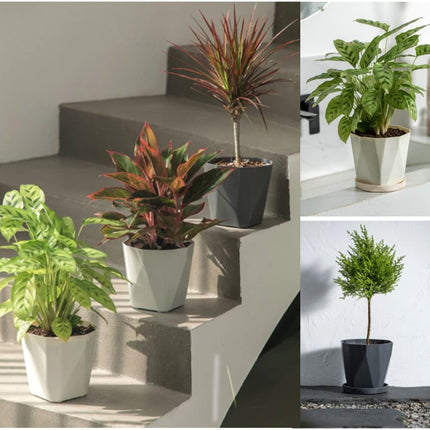 Flower pot, set of 3 flower pots, diameter 13 cm, with plastic saucer, round plant pot, weather-resistant, large flower pots A.