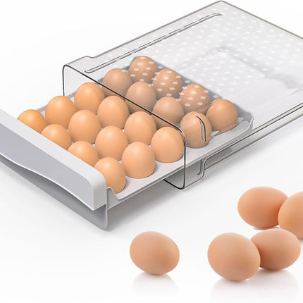 Petluno Plastic Egg Carton, Egg Holder, 20 Large Capacity Portable Storage Box for Eggs, Kitchen and Fridge Transparent Egg Carton for Storing Eggs Duck Eggs Transparent.