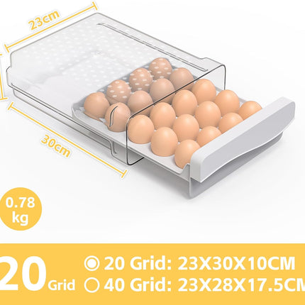 Petluno Plastic Egg Carton, Egg Holder, 20 Large Capacity Portable Storage Box for Eggs, Kitchen and Fridge Transparent Egg Carton for Storing Eggs Duck Eggs Transparent.