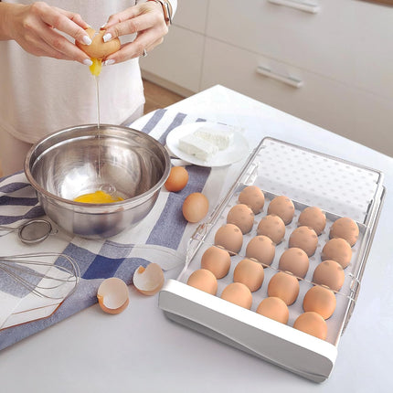 Petluno Plastic Egg Carton, Egg Holder, 20 Large Capacity Portable Storage Box for Eggs, Kitchen and Fridge Transparent Egg Carton for Storing Eggs Duck Eggs Transparent.