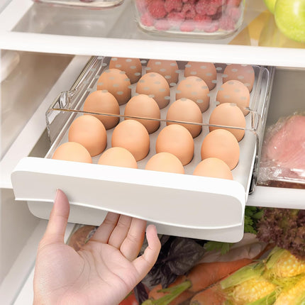 Petluno Plastic Egg Carton, Egg Holder, 20 Large Capacity Portable Storage Box for Eggs, Kitchen and Fridge Transparent Egg Carton for Storing Eggs Duck Eggs Transparent.
