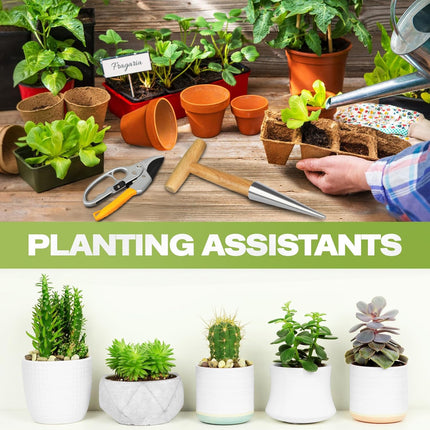 Flower bulbs, plant stakes, flower bulbs with T-grip, bulb planting aids, onion sets, garden vegetables, flowers and tulip bulbs.