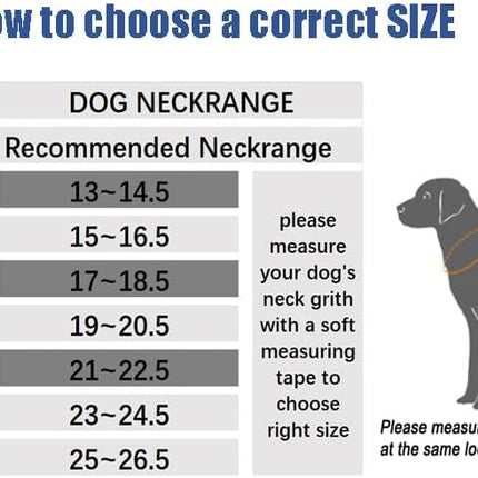 Chain Dog Training Choke Collar, 304 Stainless Steel, Total Length 20 in, 2.5 mm.
