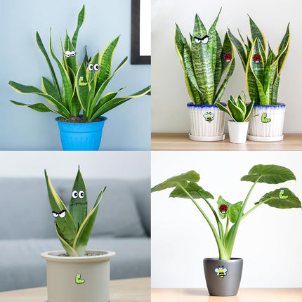 Cute Plant Magnets - Funny Cartoon Eyes, Unique Lover Gifts, Lightweight & Safe Halloween and Christmas Decoration, Indoor Accessories for Office - Give Your Plants Personality.
