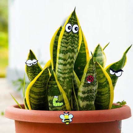 Cute Plant Magnets - Funny Cartoon Eyes, Unique Lover Gifts, Lightweight & Safe Halloween and Christmas Decoration, Indoor Accessories for Office - Give Your Plants Personality.