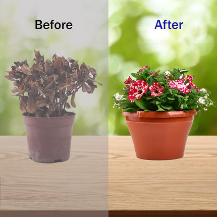8 Pack Self Watering Spikes, Automatic Plant Irrigation Drippers, Plastic Self Watering Device with Adjustable Control Valve for Indoor & Outdoor Plants and Flowers, Easy to Install.