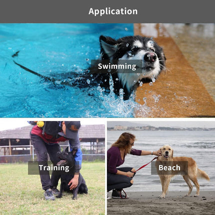 Pet Care Cartoz.