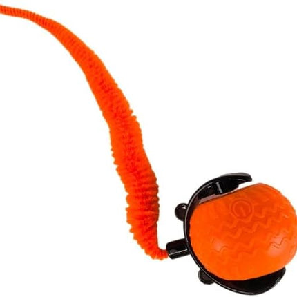 Interactive Cat Toy Ball for Indoor Cats.