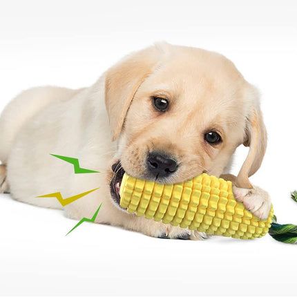 Pet Care Cartoz.