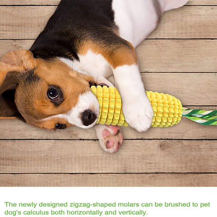 Pet Care Cartoz.