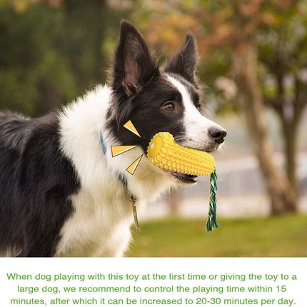 Pet Care Cartoz.