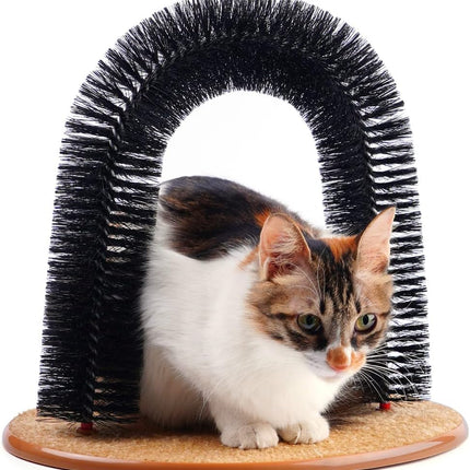 Pet Care Cartoz.