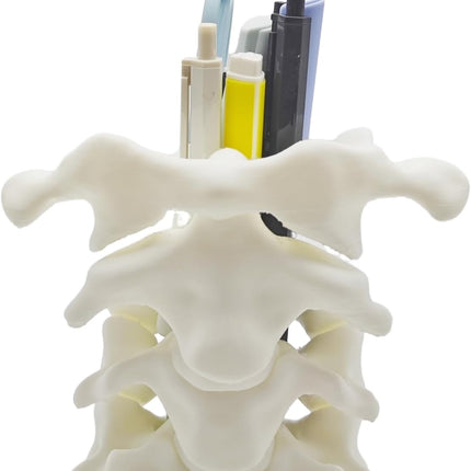 Unique Spine Pen Holder for Desk, Pencil Holder Desk Organizers, Office Supplies Decorations Idea Gift for Doctors, Nurses, Chiropractors.