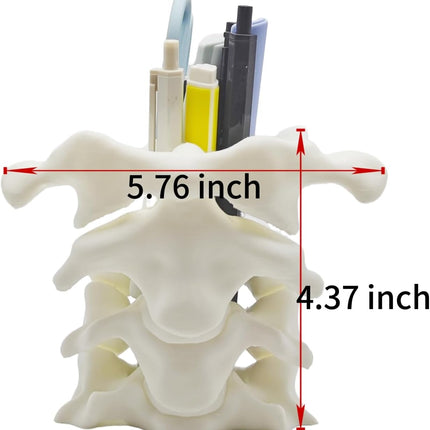 Unique Spine Pen Holder for Desk, Pencil Holder Desk Organizers, Office Supplies Decorations Idea Gift for Doctors, Nurses, Chiropractors.
