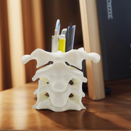 Unique Spine Pen Holder for Desk, Pencil Holder Desk Organizers, Office Supplies Decorations Idea Gift for Doctors, Nurses, Chiropractors.