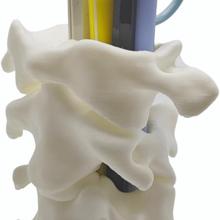 Unique Spine Pen Holder for Desk, Pencil Holder Desk Organizers, Office Supplies Decorations Idea Gift for Doctors, Nurses, Chiropractors.
