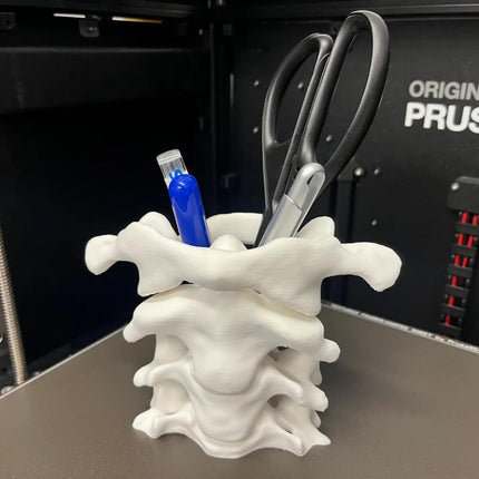 Unique Spine Pen Holder for Desk, Pencil Holder Desk Organizers, Office Supplies Decorations Idea Gift for Doctors, Nurses, Chiropractors.