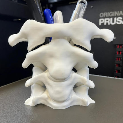 Unique Spine Pen Holder for Desk, Pencil Holder Desk Organizers, Office Supplies Decorations Idea Gift for Doctors, Nurses, Chiropractors.