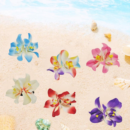 Home & Garden Cartoz.