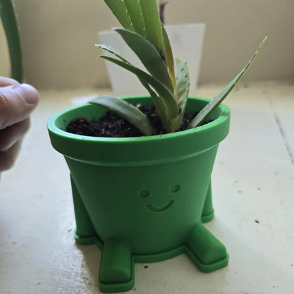 Cute Smiley Guy Indoor Plant Pots - 3.94 Inch Fower Pot with Drainage Hole and Drip Dray, Small Succulent Green Plants Pot, Cute Plant Gifts for Plant Lovers.