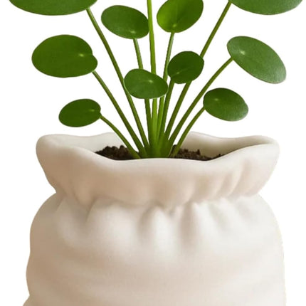 Unique Cumpled Fabric Sack Indoor Plant Pots - 3.54 Inch Fower Pot Small Succulent Green Plants Pot, Cute Plant Gifts for Plant Lovers.