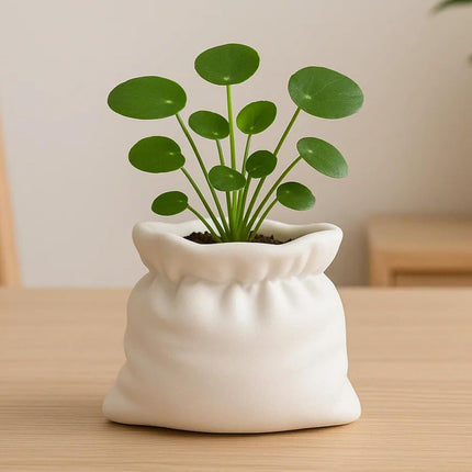 Unique Cumpled Fabric Sack Indoor Plant Pots - 3.54 Inch Fower Pot Small Succulent Green Plants Pot, Cute Plant Gifts for Plant Lovers.