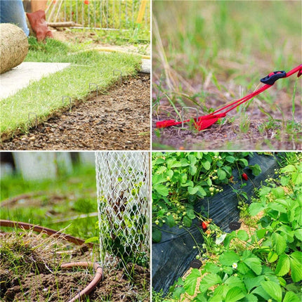 Home & Garden Cartoz.