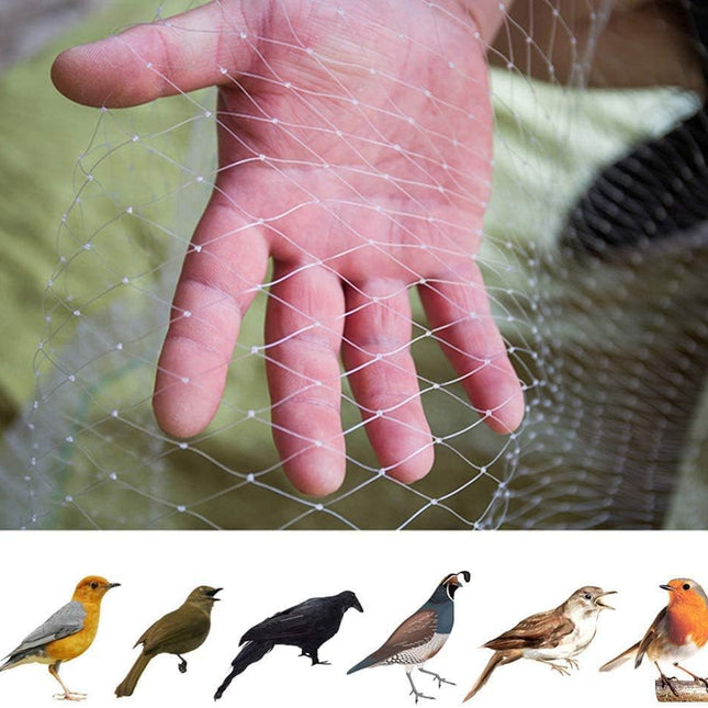 Pet Care.