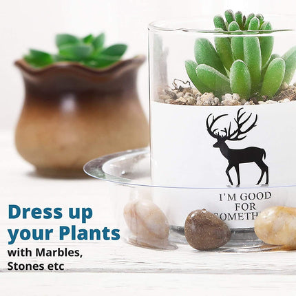 24 Pack Plant Saucer, Clear Plastic Plant Pot Saucer, Made of Thicker, Stronger Plastic, with Unique Design, Durable Flower Plant Tray for Indoor and Outdoor Plants(4 Size, 6/8/10/12 Inch).