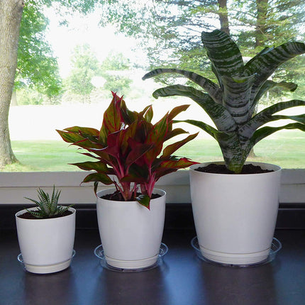 24 Pack Plant Saucer, Clear Plastic Plant Pot Saucer, Made of Thicker, Stronger Plastic, with Unique Design, Durable Flower Plant Tray for Indoor and Outdoor Plants(4 Size, 6/8/10/12 Inch).