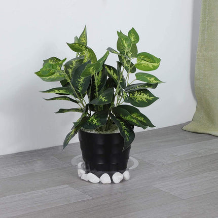 24 Pack Plant Saucer, Clear Plastic Plant Pot Saucer, Made of Thicker, Stronger Plastic, with Unique Design, Durable Flower Plant Tray for Indoor and Outdoor Plants(4 Size, 6/8/10/12 Inch).