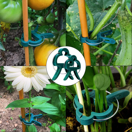 100 Pack Plant Support Clips for Flowers, Vines, Tomatoes - Garden Stem and Stalk Support for Upright Growth (Large Size).