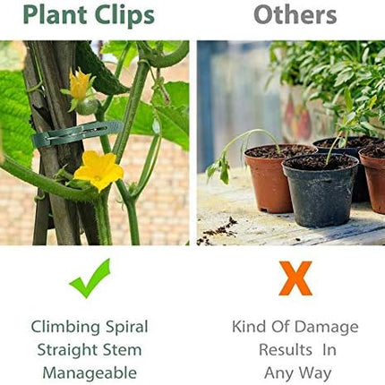 100 Pack Plant Support Clips for Flowers, Vines, Tomatoes - Garden Stem and Stalk Support for Upright Growth (Large Size).
