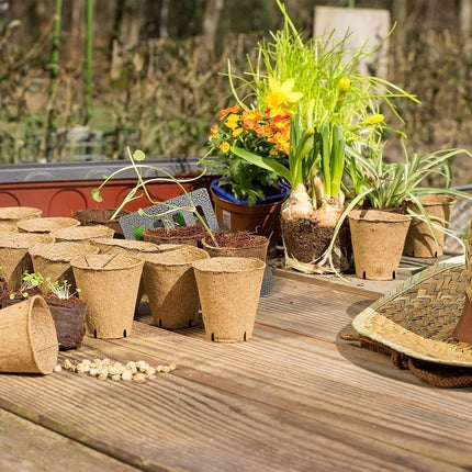 Home & Garden Cartoz.