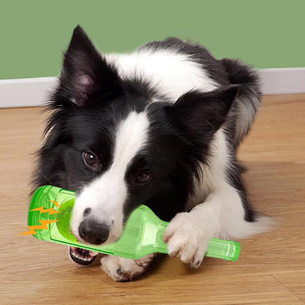 Pet Care Cartoz.