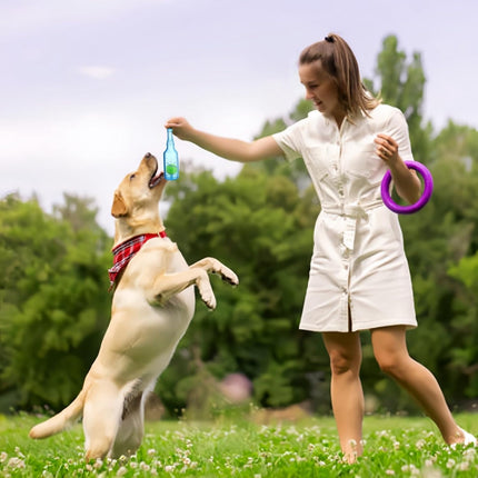 Pet Care Cartoz.