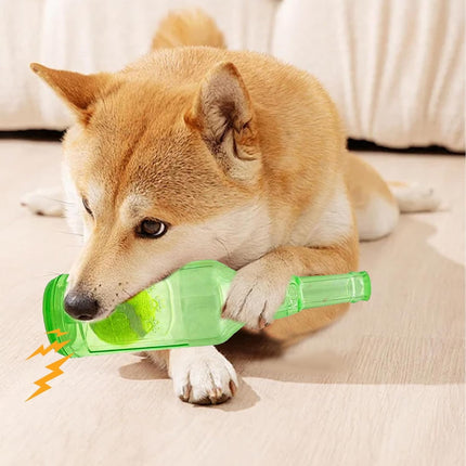 Pet Care Cartoz.