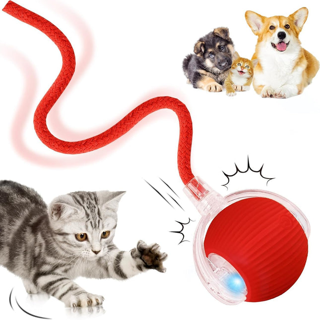 Pet Care.