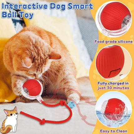Interactive Rolling Dog Ball, Interactive Cat to-ys Rolling Ball Chewie Viral Dog Ball, Smart Automatic Rolling Pet Ball for Cats Dogs Motion Activated.