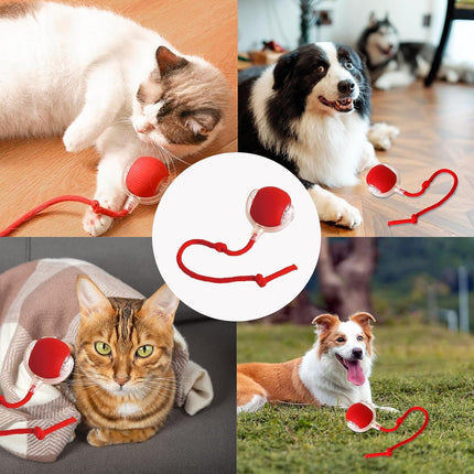 Interactive Rolling Dog Ball, Interactive Cat to-ys Rolling Ball Chewie Viral Dog Ball, Smart Automatic Rolling Pet Ball for Cats Dogs Motion Activated.