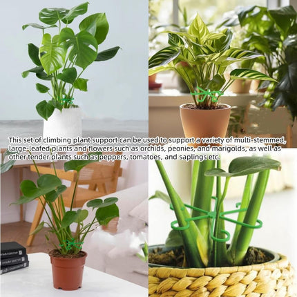 12PCS Plant Stem Support, 4 Sizes Climbing Houseplant Stem Holders, Reusable Flower Trellis Stem Hook Plant Care Growth Accessories for Flower Plants Indoor Outdoor.