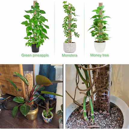 6 Pcs 24 Inch Plastic Moss Pole for Plants Monstera, Stackable for Indoor Work with Sphagnum Support Structure to Help Plants Grow Upwar.