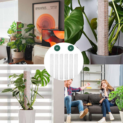 6 Pcs 24 Inch Plastic Moss Pole for Plants Monstera, Stackable for Indoor Work with Sphagnum Support Structure to Help Plants Grow Upwar.