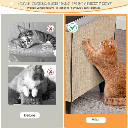 Pet Care Cartoz.